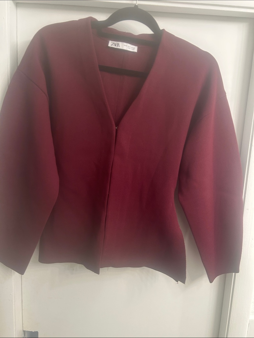 ZARA Women's Wine V-Neck Sweater